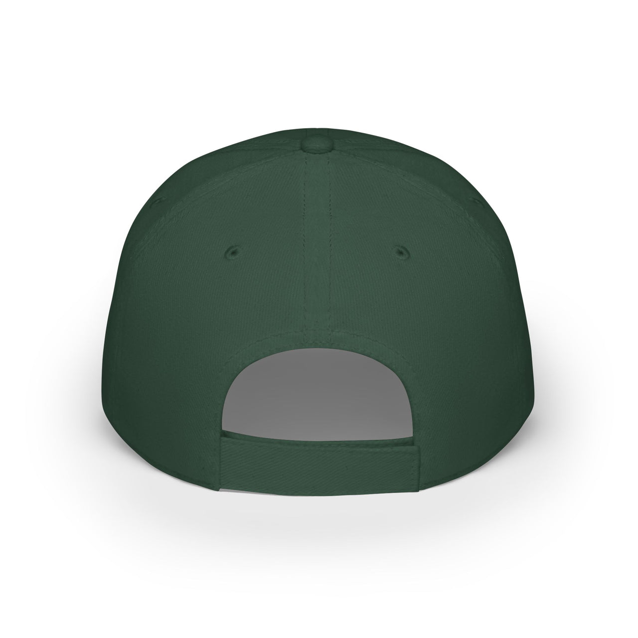 Modest Mindset Low Profile Baseball Cap - 'Discipline is Devotion' Hat