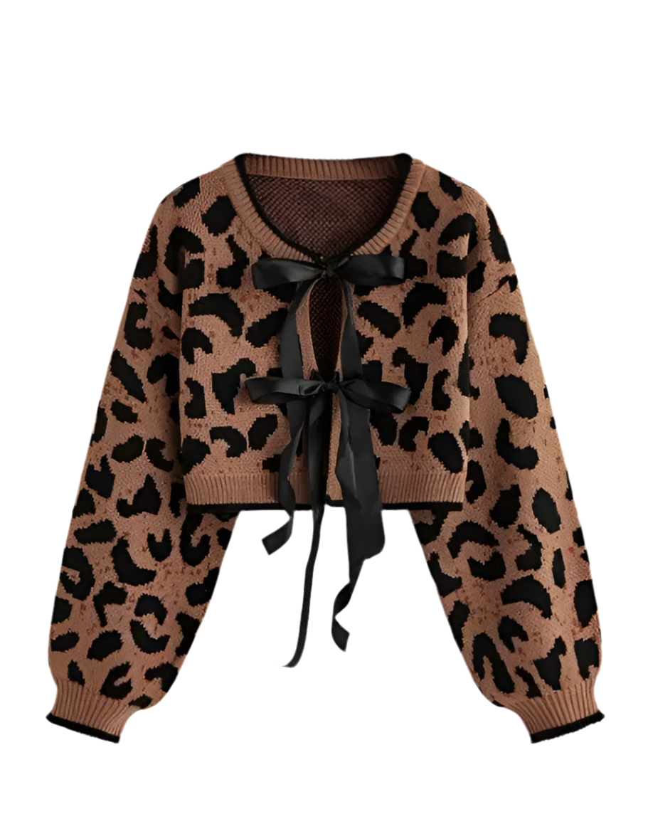 Leopard Print Cropped Sweater