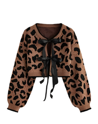 Leopard Print Cropped Sweater