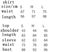 Black Skirt Set Two Piece Set Spring Elegant Long Set Mesh Pleated Skirt Set For Women - Modestly Vogue 