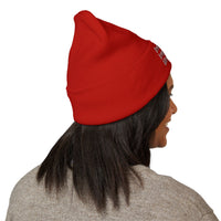 Stylish Cuffed Beanie – Embroidered Streetwear Winter Hat