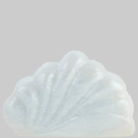 Acrylic Shell Shape Evening Clutch Bag Purse - Modestly Vogue 