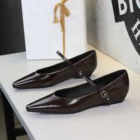 Women’s Low Heel Wedge Mary Jane Shoes with Pointed Toe