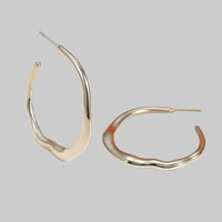 Steel Earrings