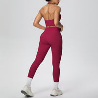Solid Color Halter Beauty Back Exercise Bra Gathering Vest Running Body Shaping Exercise Workout Pants Yoga Two Piece Sets - Modestly Vogue 