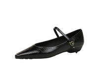 Women’s Low Heel Wedge Mary Jane Shoes with Pointed Toe